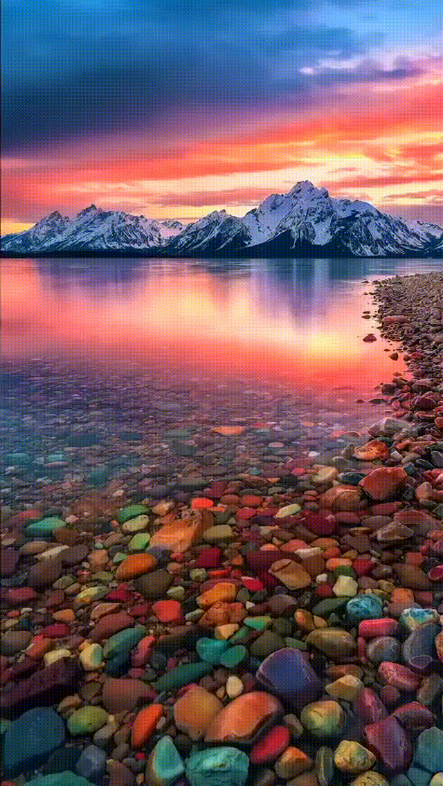 Whispering Forest Serenity